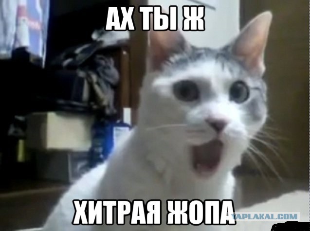 Дмитрий Вержиковский verydima